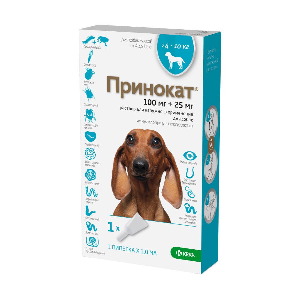 Принокат Принокат