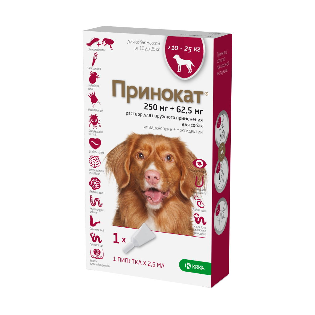 Принокат Принокат