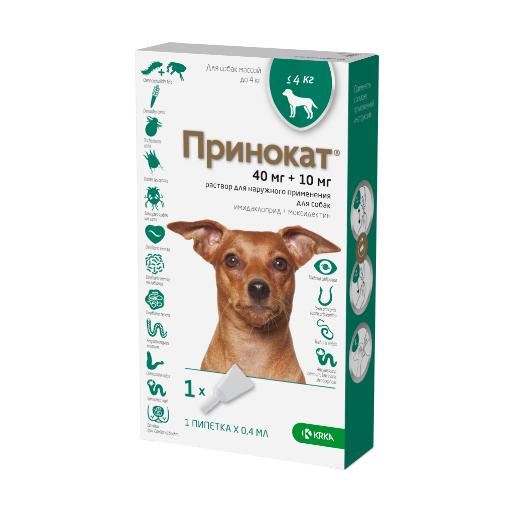 Принокат Принокат