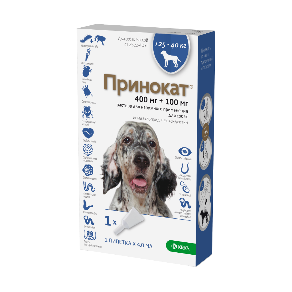 Принокат Принокат