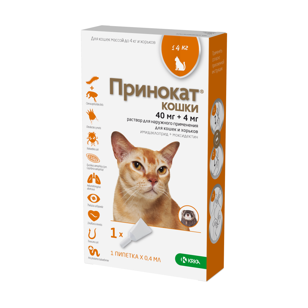 Принокат Принокат