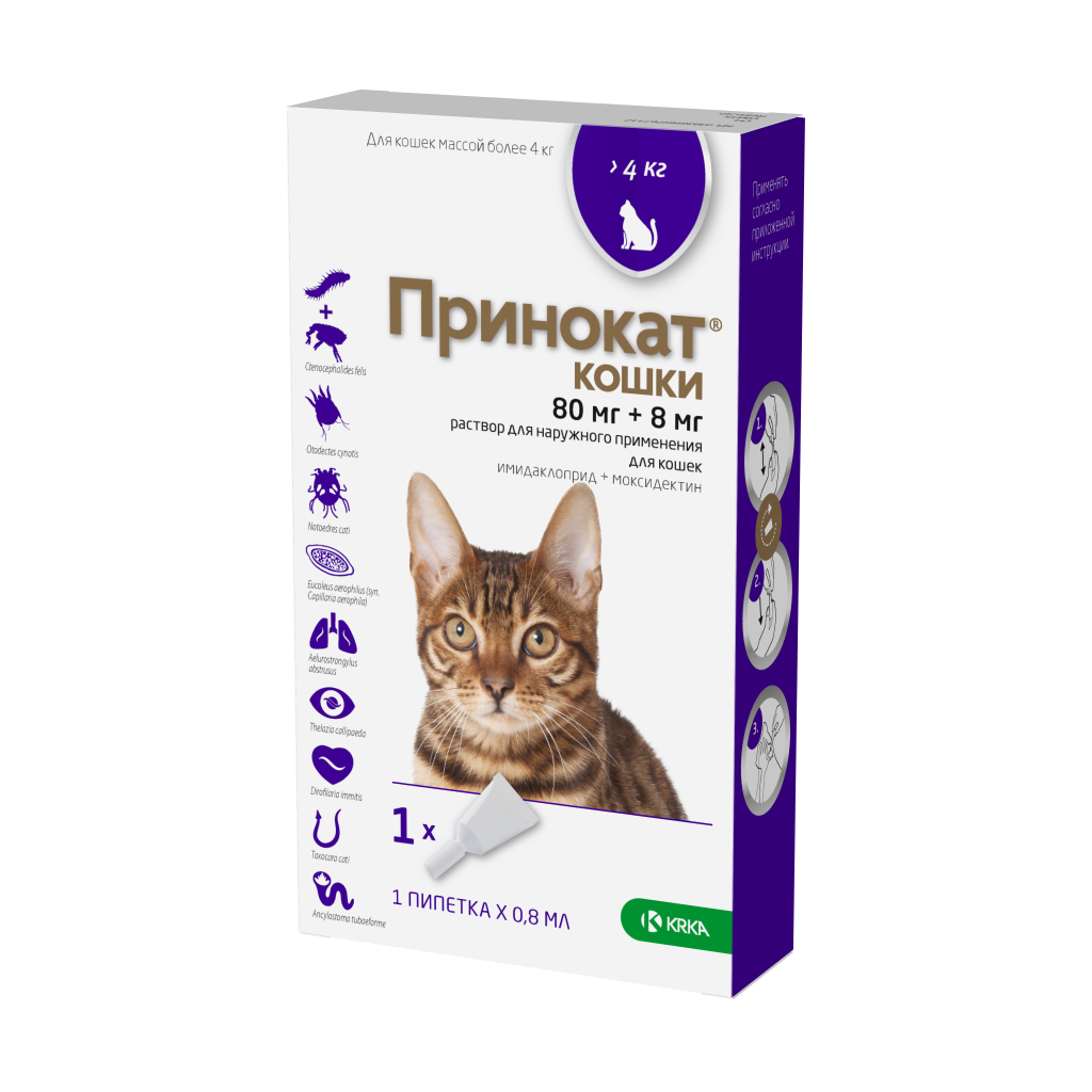 Принокат Принокат