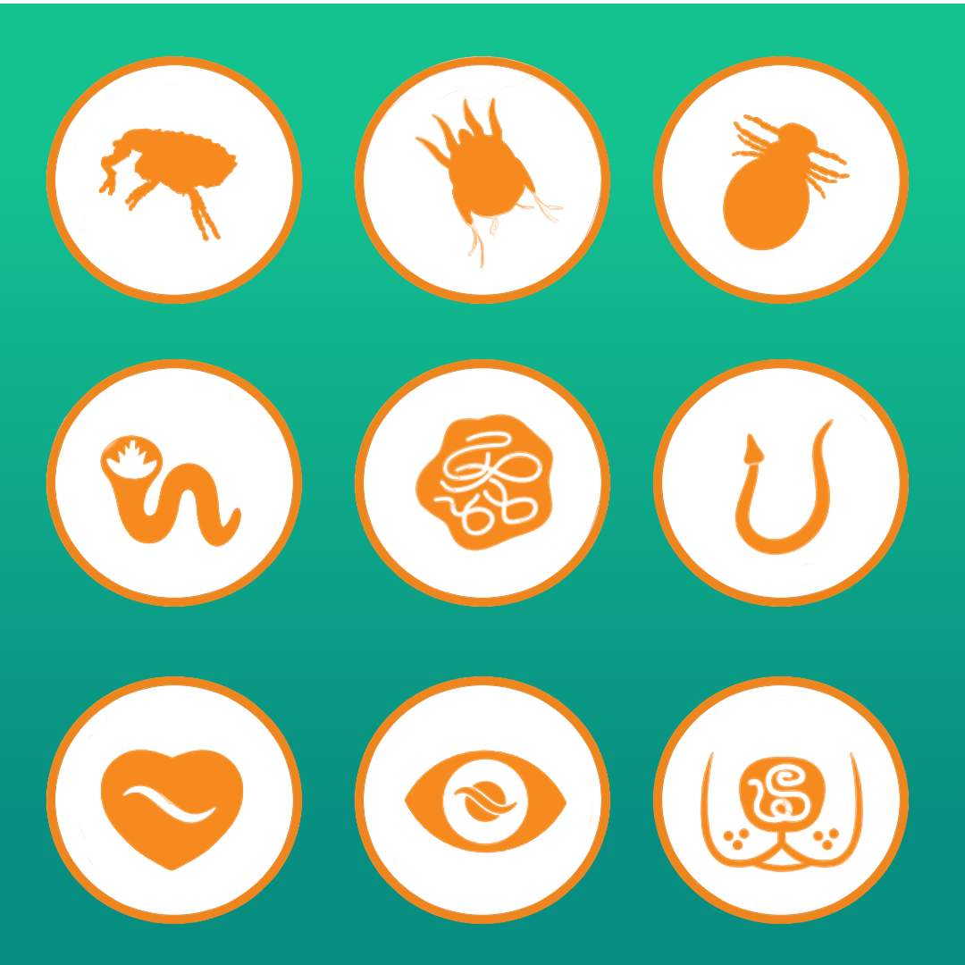 Принокат Принокат