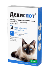 Дехиспот