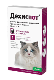 Дехиспот